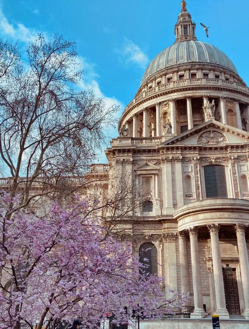 佛罗里达国际大学
